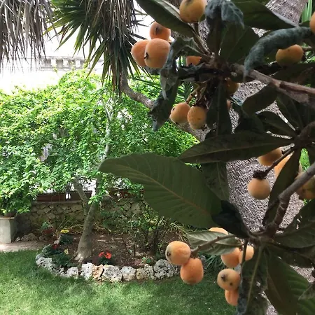 Oda ve Kahvaltı Casa Noemi 3*